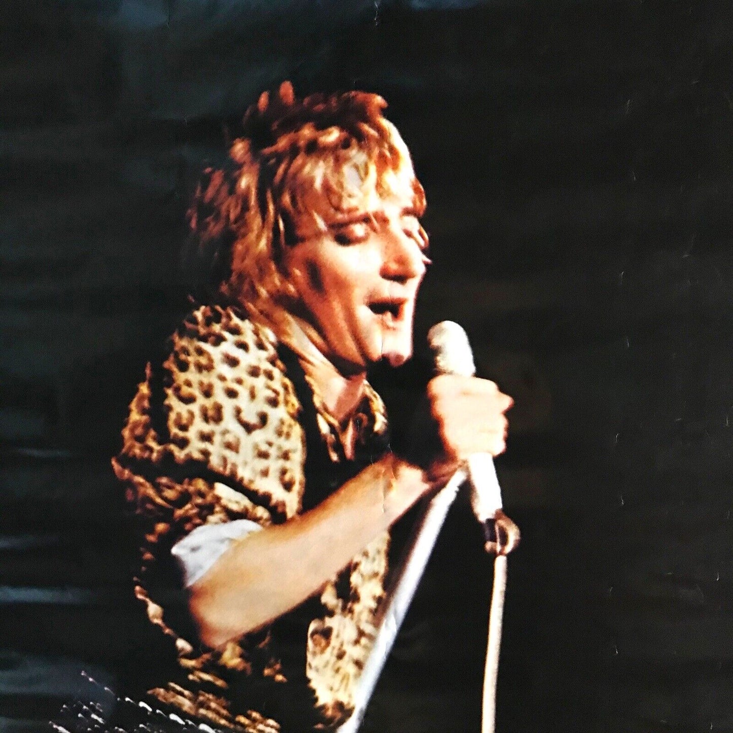 Rod Stewart Vintage 1979 Poster: Unveiled Gem from Pace Minerva - No.47 - 1979