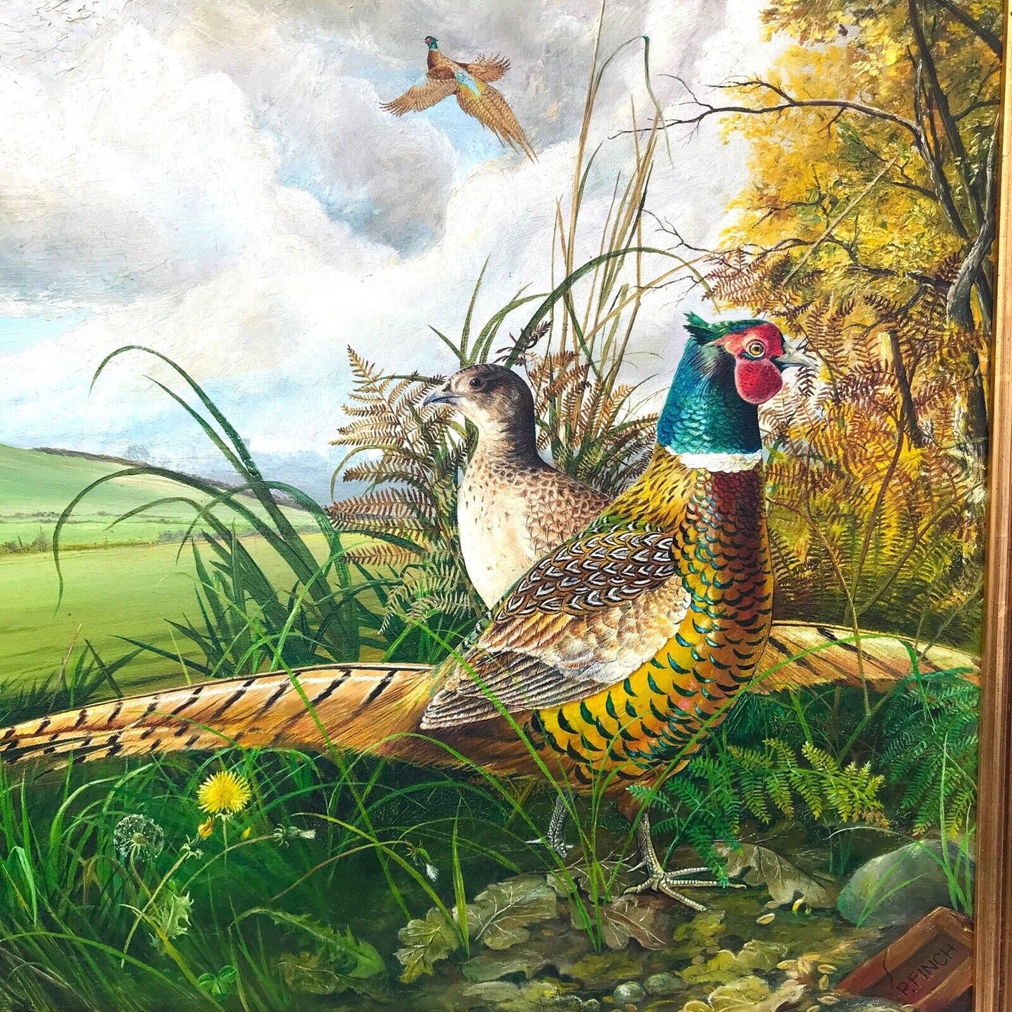 Stunning Large Hunting Scene Pheasants, Original Signed Oil Painting by P. Finch