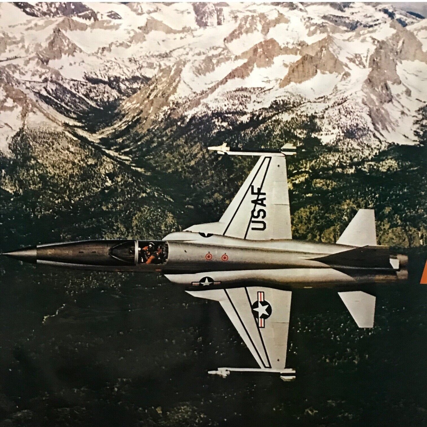 Original 1975 F-5E Tiger II Fighter Jet Poster Air Force by Pace Minerva RARE